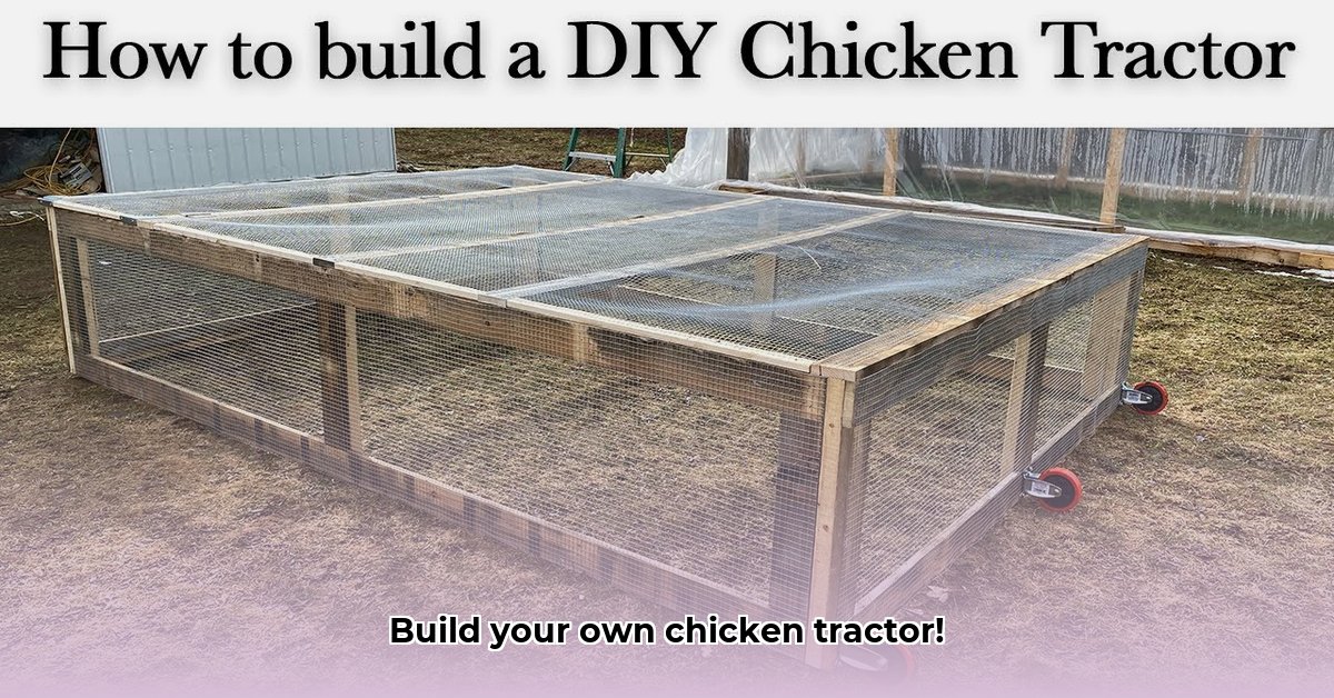build-chicken-tractor